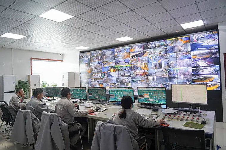 LANDU DCS System