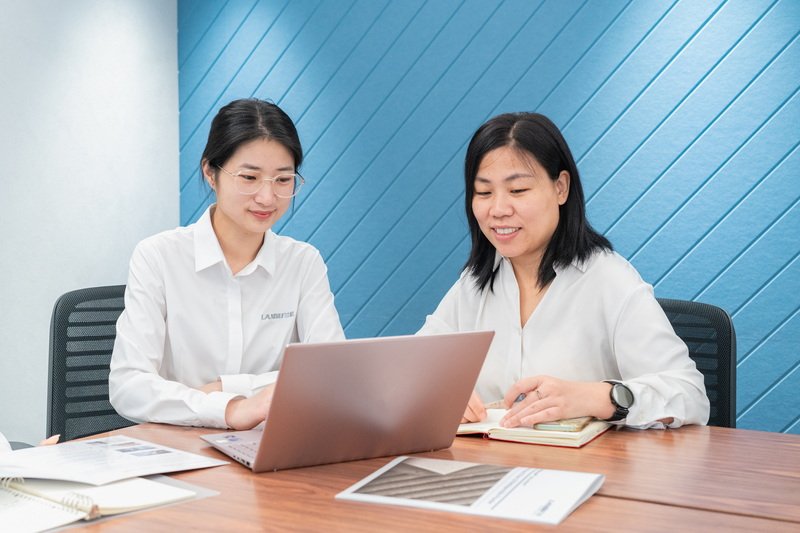 Landu Perfessional Sales Consultant