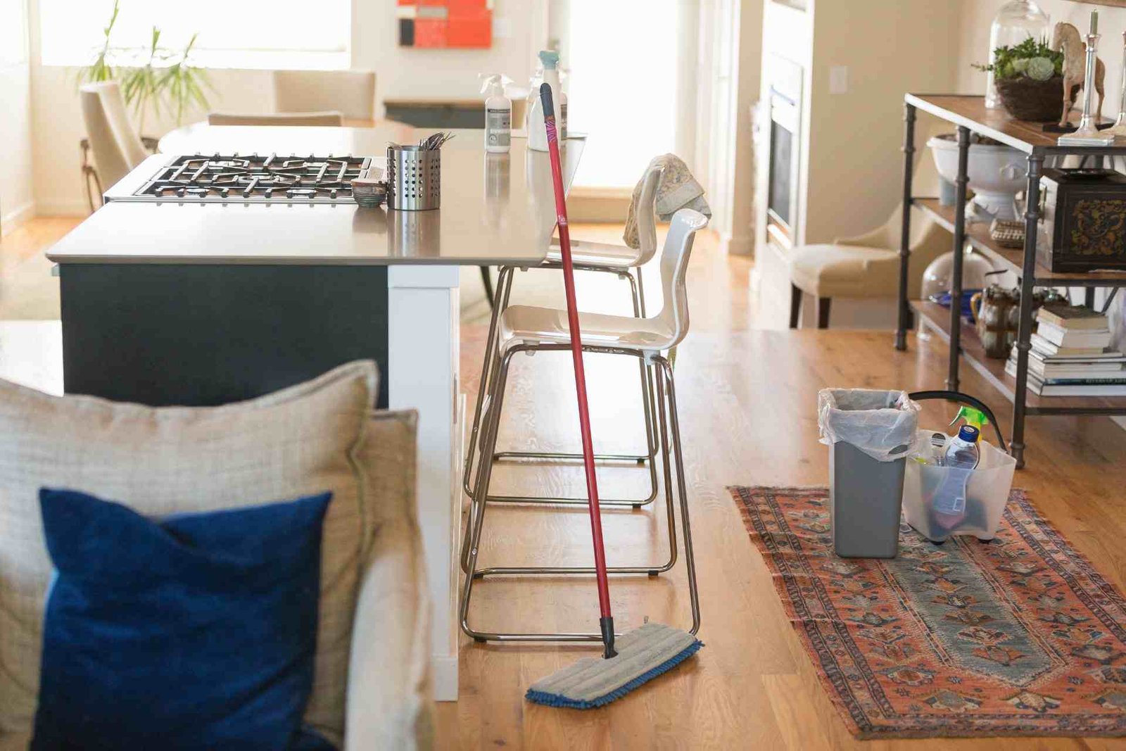 Redlemon Cleaning Home With Green Cleaning Products 2026 03 10 03 55 38 Utc Compressed