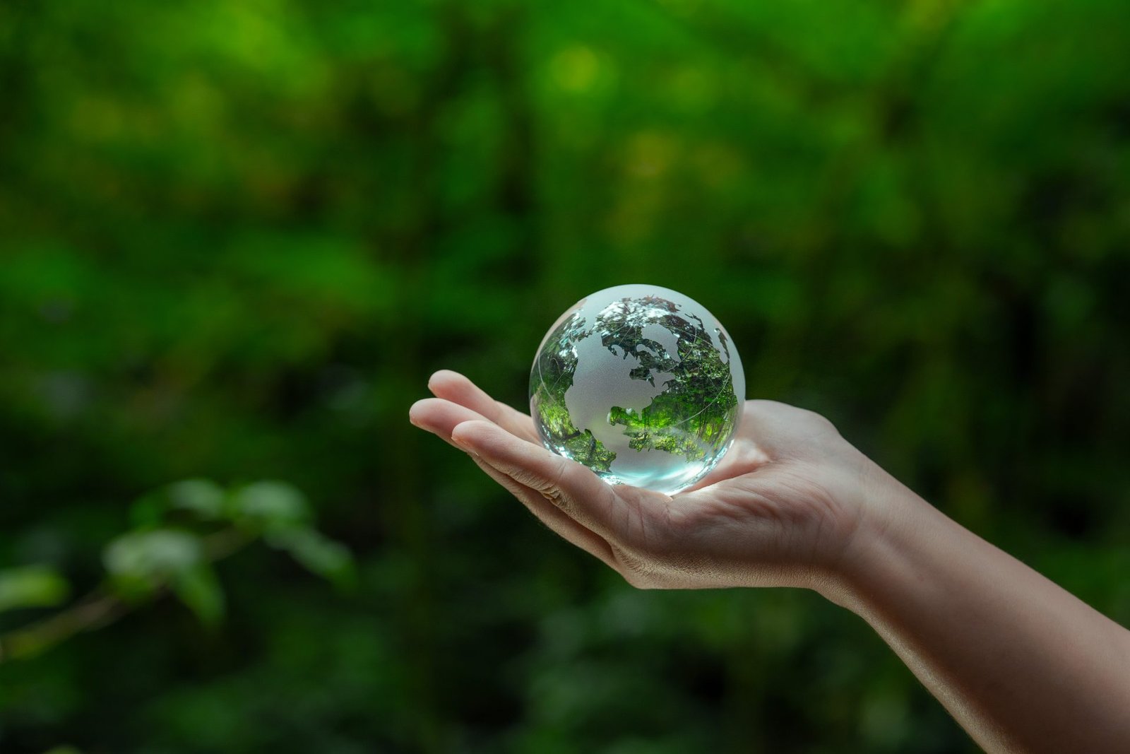 Redlemon Glass Globe Held In Hand With Greenery 2026 01 05 00 08 14 Utc Compressed