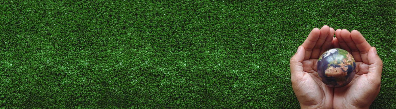Redlemon Hand Holding A Globe Over A Green Field Eco Enviro 2026 01 07 00 31 00 Utc Compressed