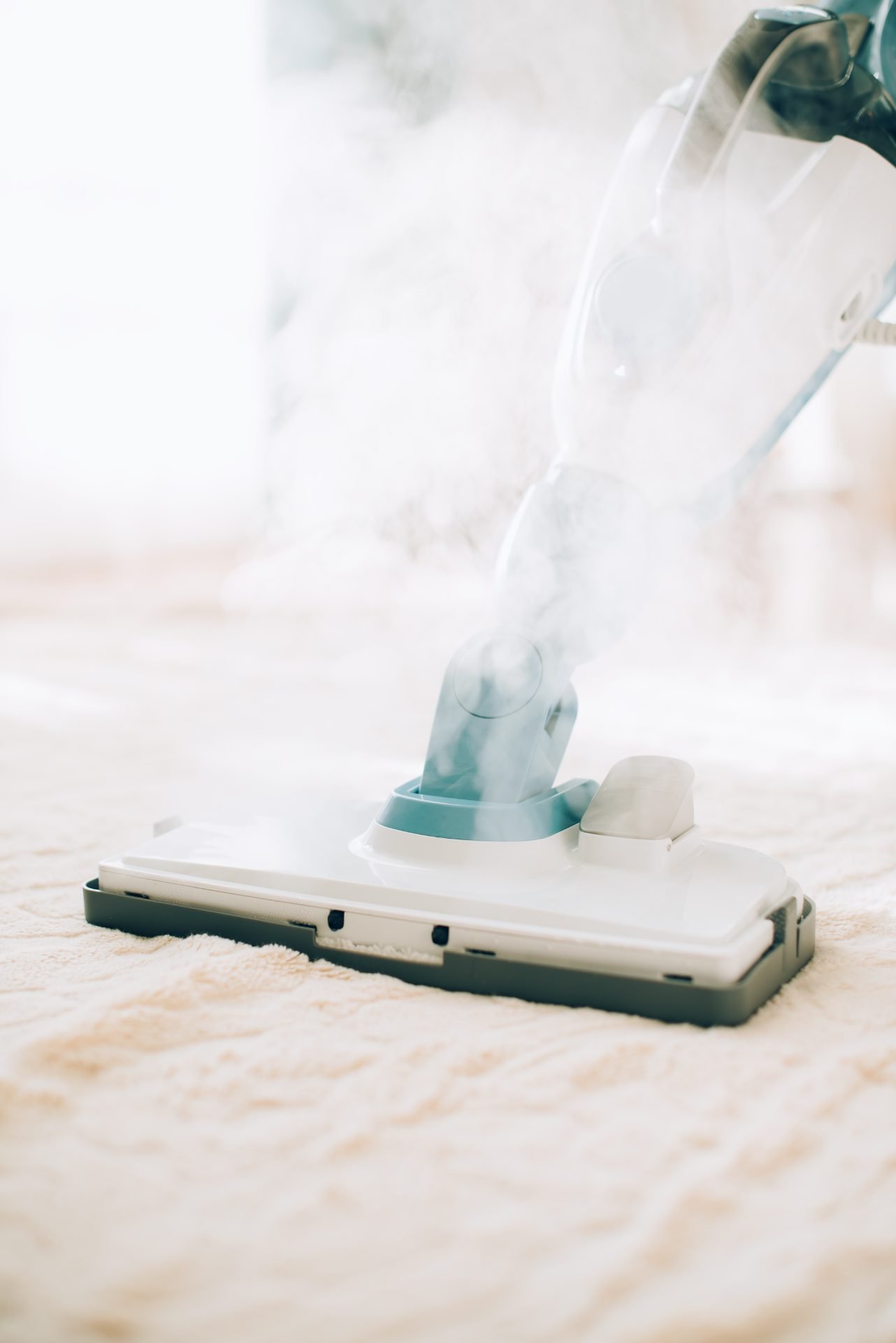Redlemon Steam Cleaning Machine On Shaggy Beige Carpet 2026 03 10 01 05 25 Utc Compressed