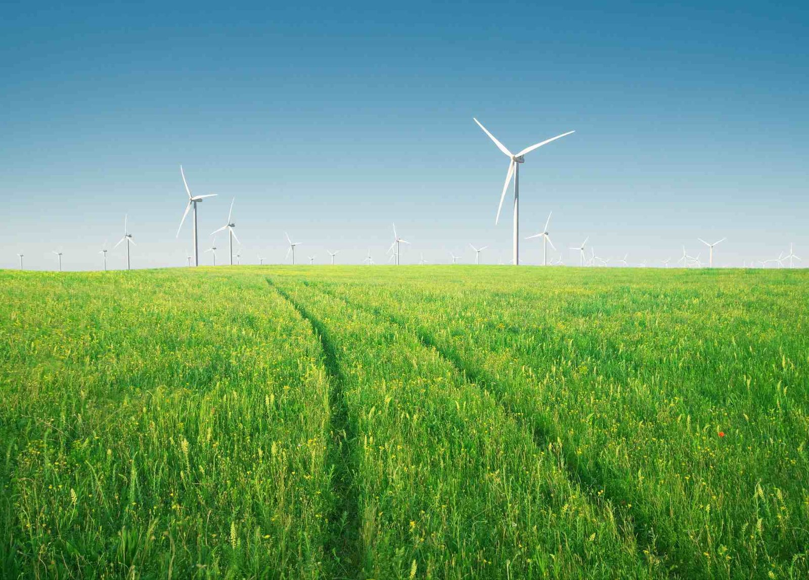 Redlemon Wind Power Plant And Green Meadow At Day 2026 03 19 08 12 10 Utc Compressed
